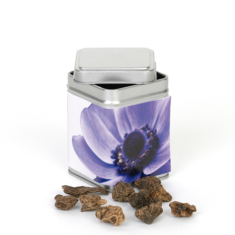 Sink can of flower bulbs | Eco gift